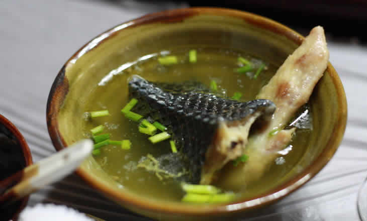 Sopa de serpente