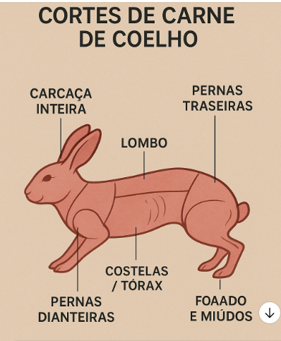 Cortes de Carne de Coelho